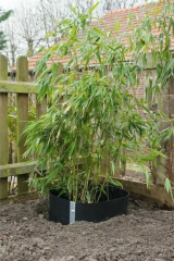 NATURE Protikořenová bariéra fólie 0,7x5 m HDPE černá (2)